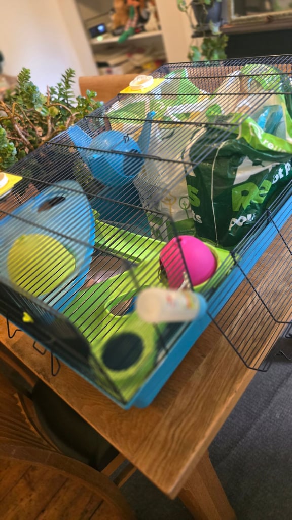 Gerbil / hamster cage for sale (pick up only)