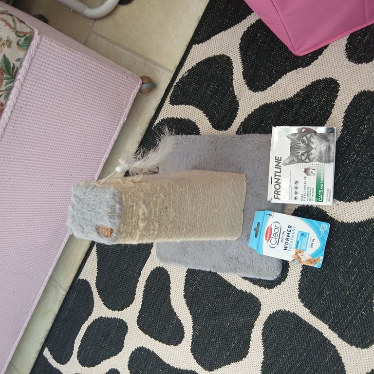 Bundle of cat / kitten items - some new.