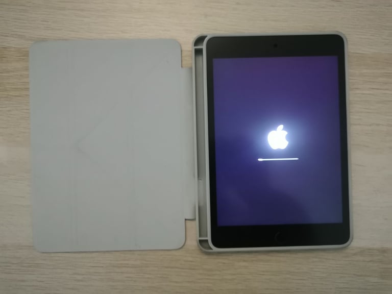 iPad Mini 2019 + Apple Stylus Pencil 