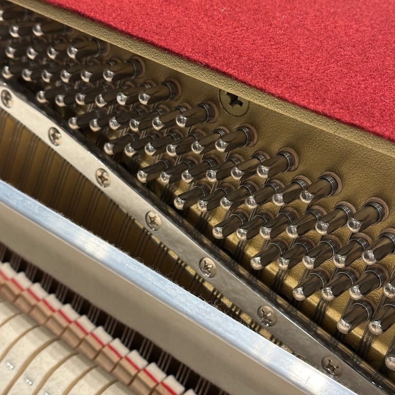 Yamaha B1 Upright Piano Black Gloss | Delivery, Tuning, Warranty, Stool 