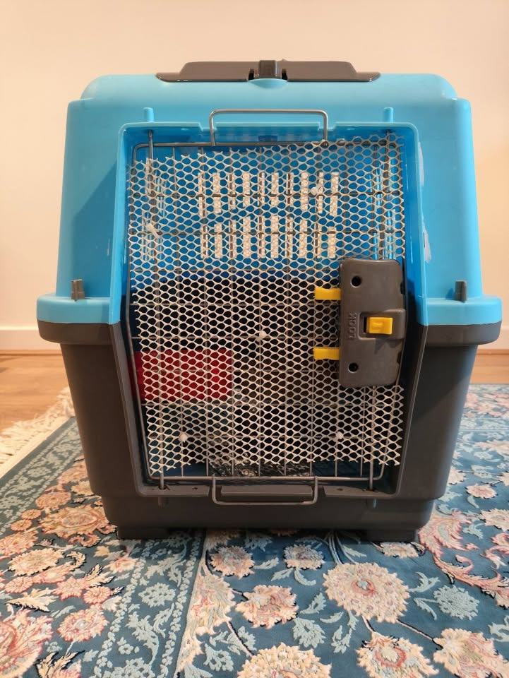 Airline Approved Cat/Dog Box Carriers