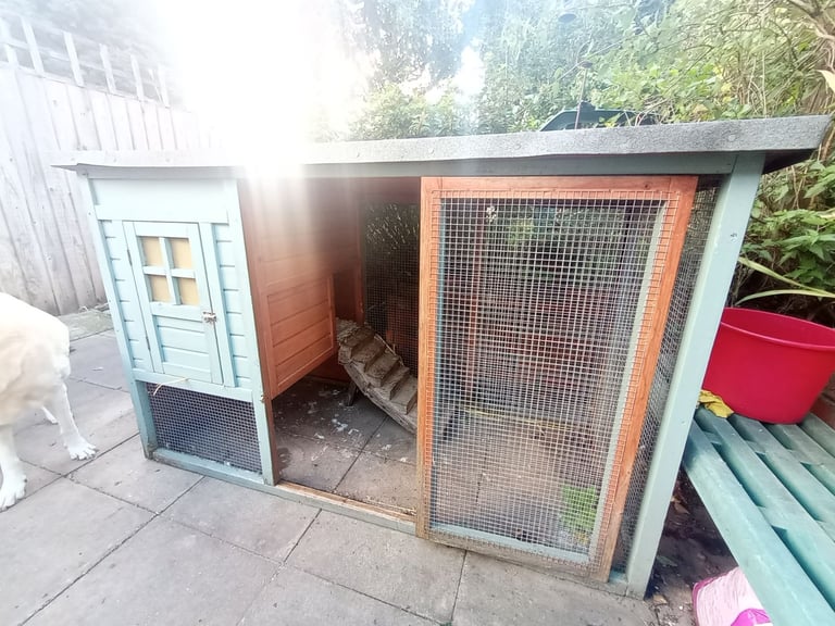 Rabbit/chicken House & Run