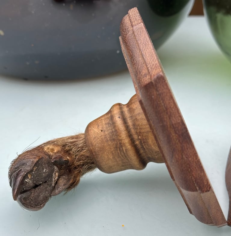 VINTAGE FRENCH TAXIDERMY WILD BOAR HOOVES COAT HOOKS, SANGLIER HOOF HUNTING RACK - WILL POST!