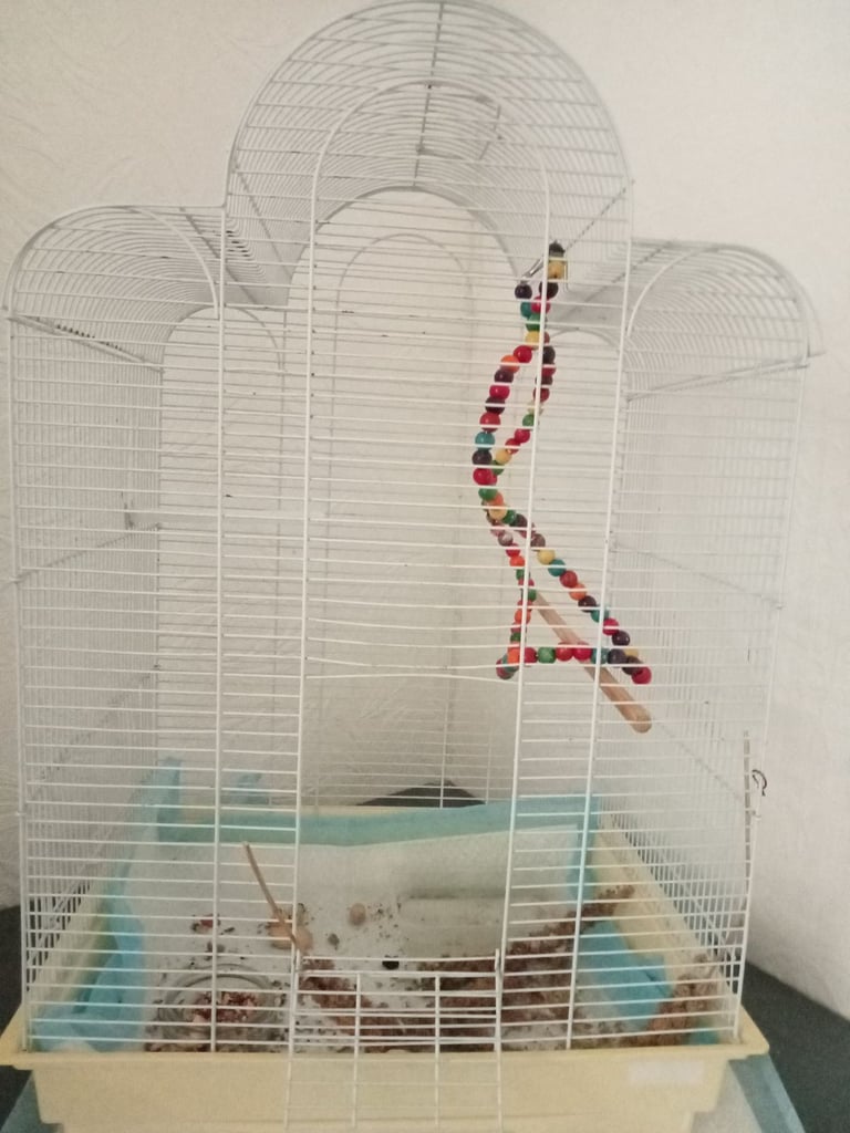 Medium size white cage 