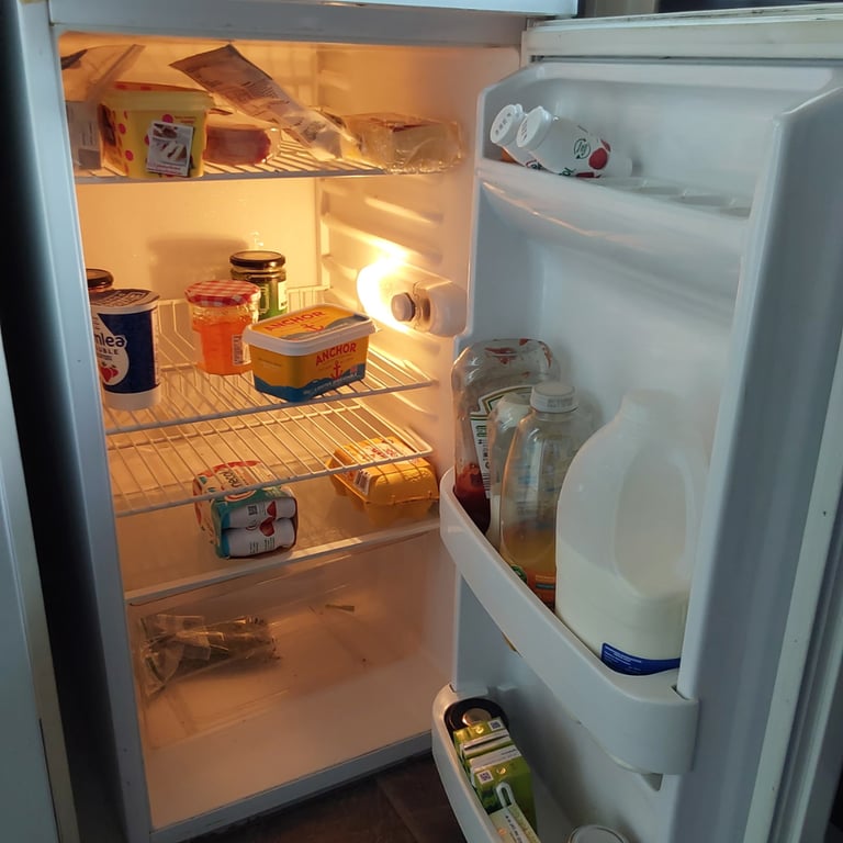45cm wide fridge