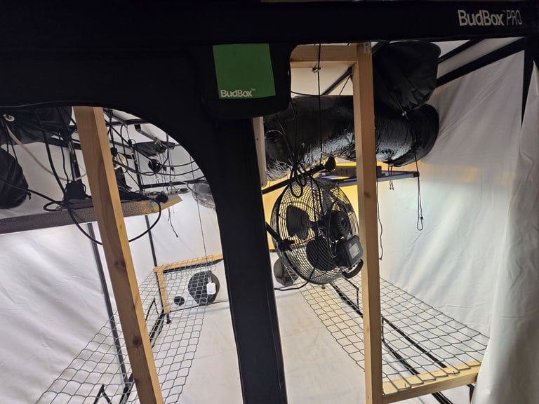 Budbox Pro Grow Tent 2 x 2
