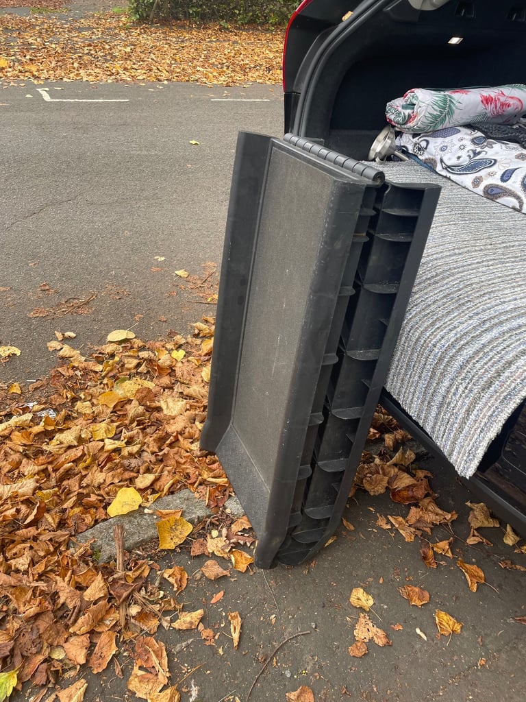 Dog ramp 
