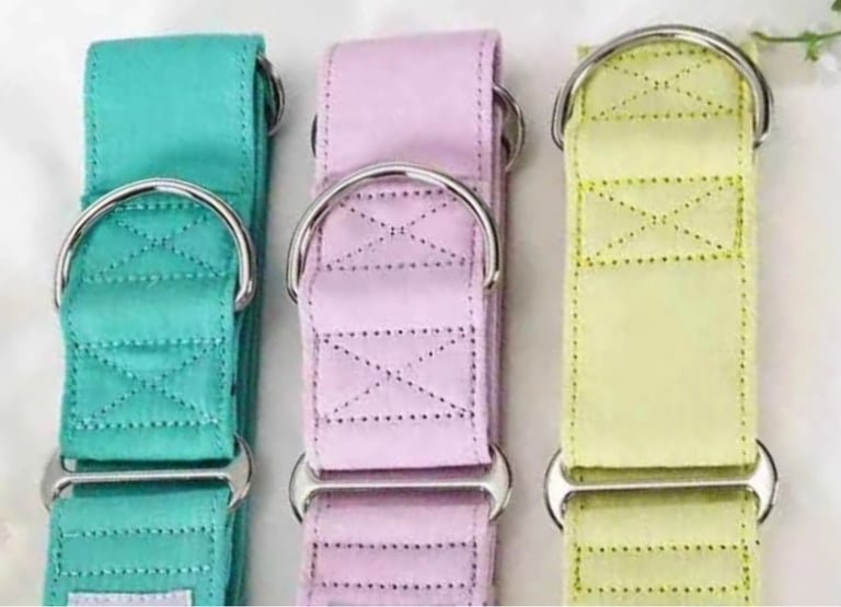 Martingale Dog Collars  Mixed Sizes 