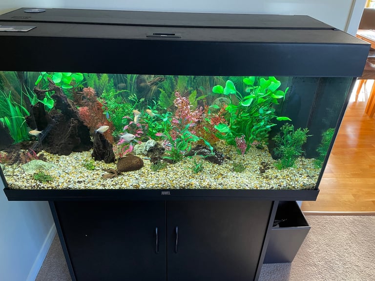 Jewel Rio 180 tank and cabinet and all accessories 