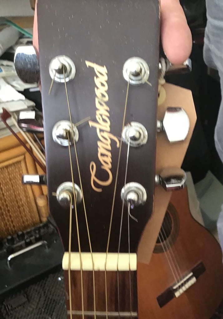 Tanglewood acoustic guitar TBF-sapling 