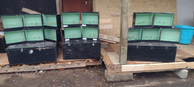 Gloster Canary show cages 