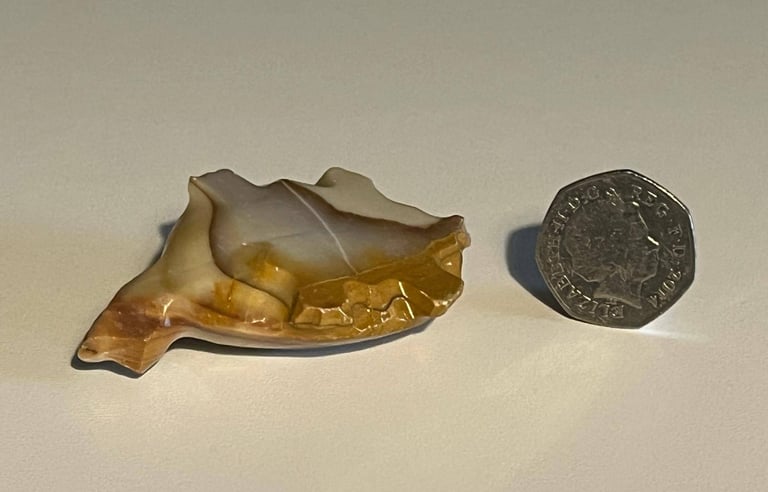 Oynx  / Marble Collectable Turtle