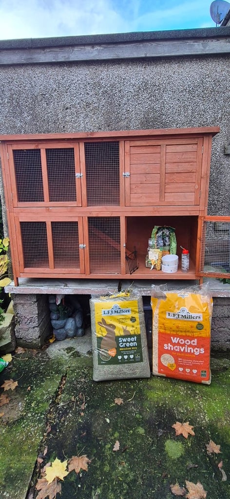 Rabbit/guinea pig hutch
