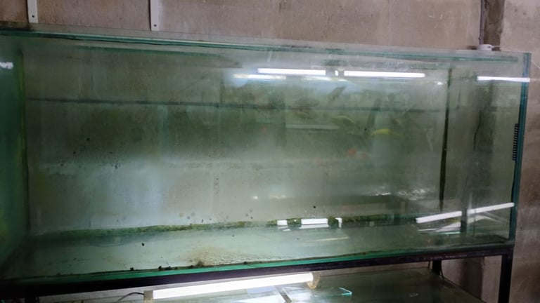 Large glass tank 