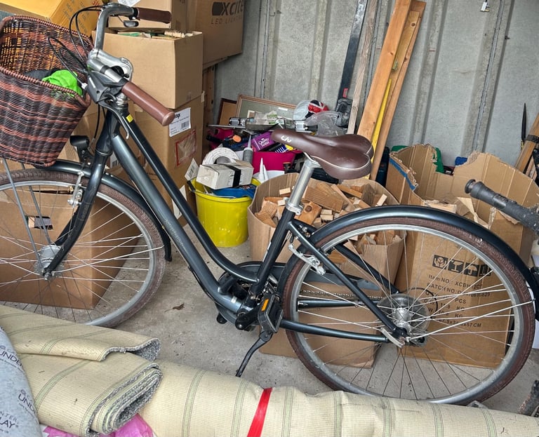 Liv flourish bicycle 