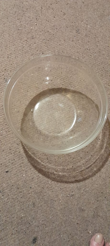 Large Glass Bowl
