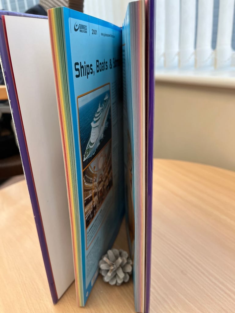GUINNESS WORLD RECORDS BOOK 2001, V.G.C. (See Photos)