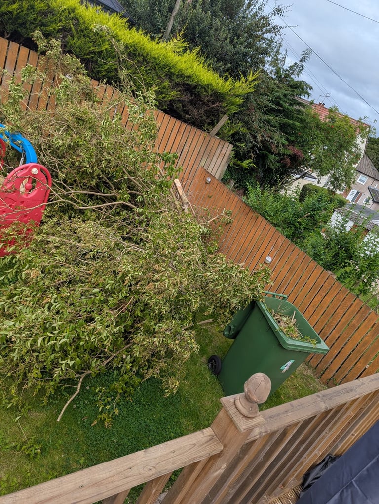 RUBBISH REMOVAL FROM £45 - HOISE/GARDEN/GARAGE CLEARANCE - BINS EMPTIED - COUCH/MATTRESS UPLIFT 