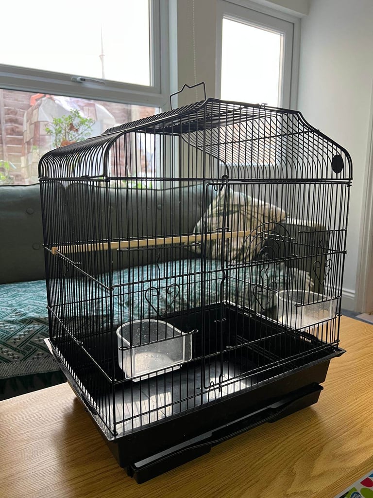 Black bird cage