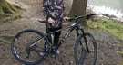 Cube LTD Race Mountain Bike Blackline 29&quot; Limited Edition Series