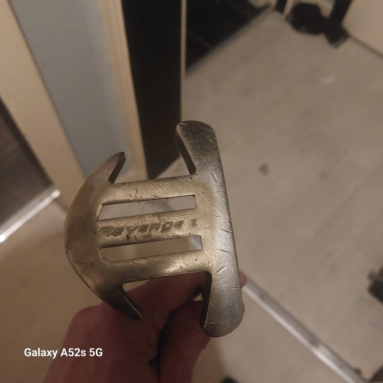 Pro putter