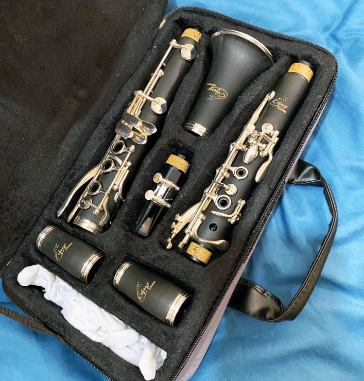 image for Odyssey OCL-400 Intermediate level Clarinet - Cost £380 new
