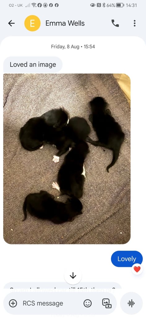 Only 2 black and white left