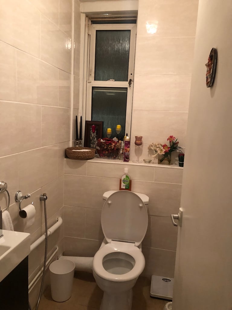 Very nice and spacious room for single professional 