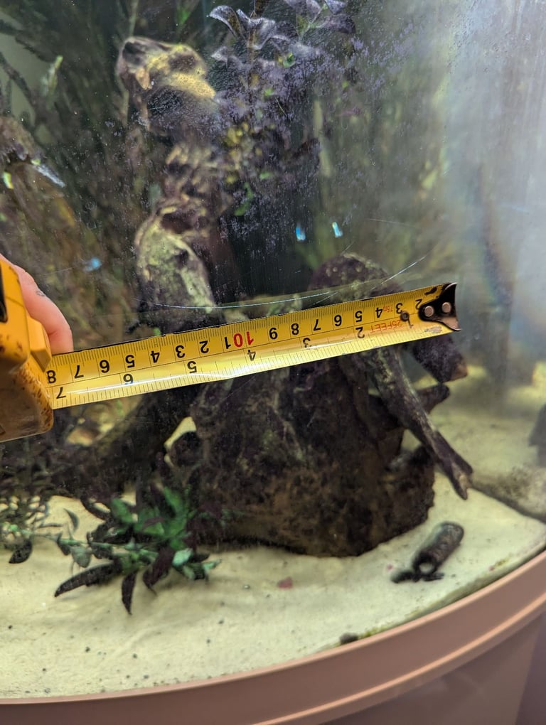 Juwel corner tank 