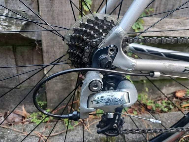 Specialized Allez: Adult Lightweight Quality Road Bike