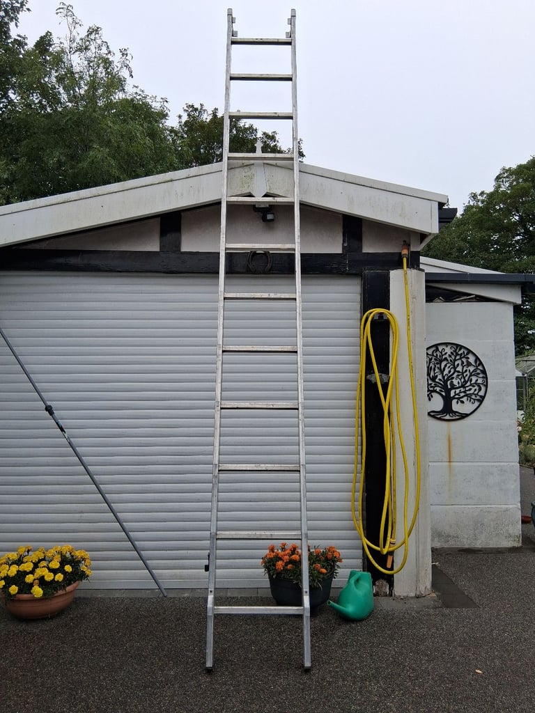 image for Ladder.