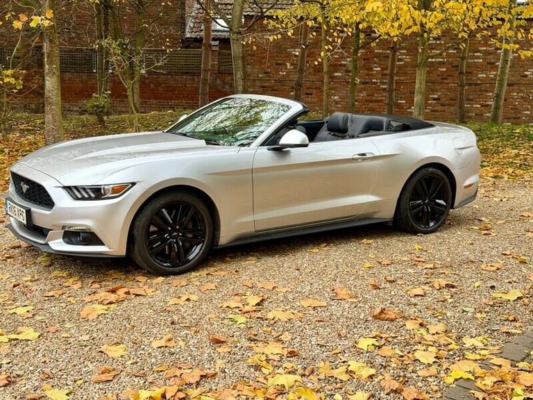 2016 Ford Mustang 2.3 Mustang Ecoboost AUTO Convertible Convertible Petrol Automatic