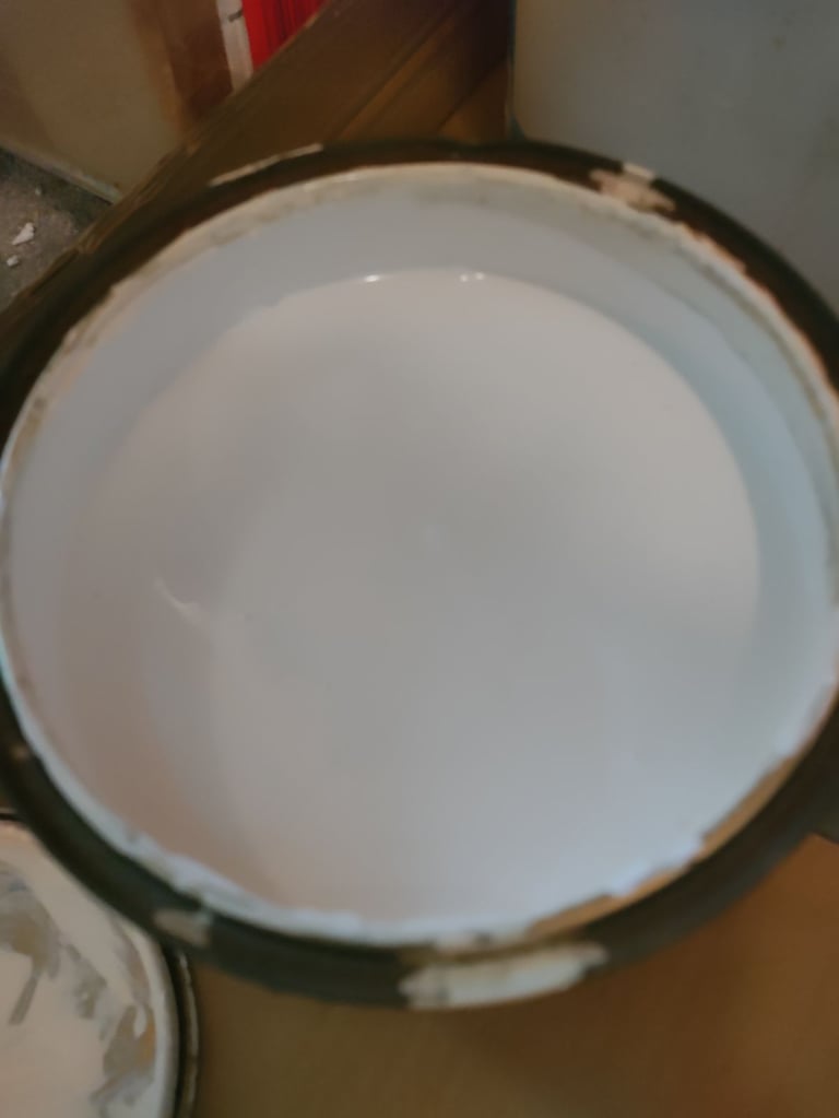 Having a clear out of leftover paint Gloss and Matt Brilliant White