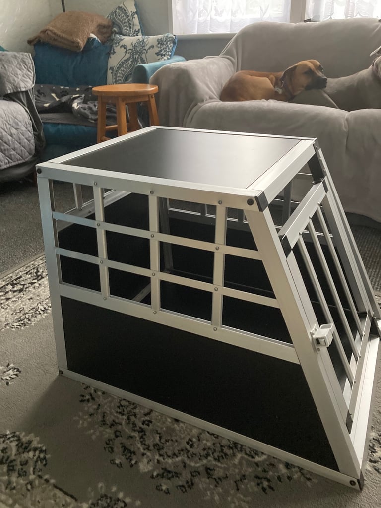 Car dog crate