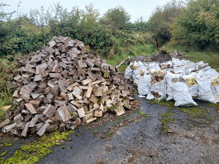 Dried Ash Logs for sale