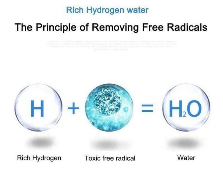 Leveluk Enagic Kangen SD501 water ioniser machine