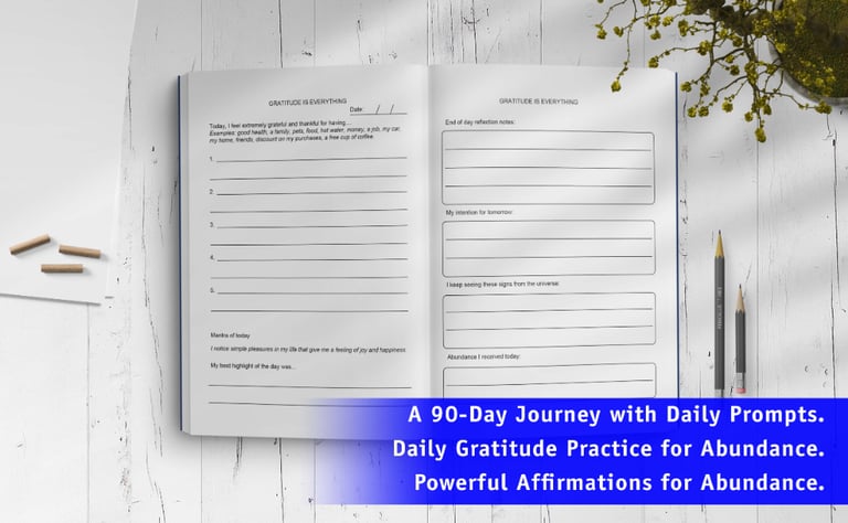 Gratitude Journal For Abundance 90 days (Hardcover) 