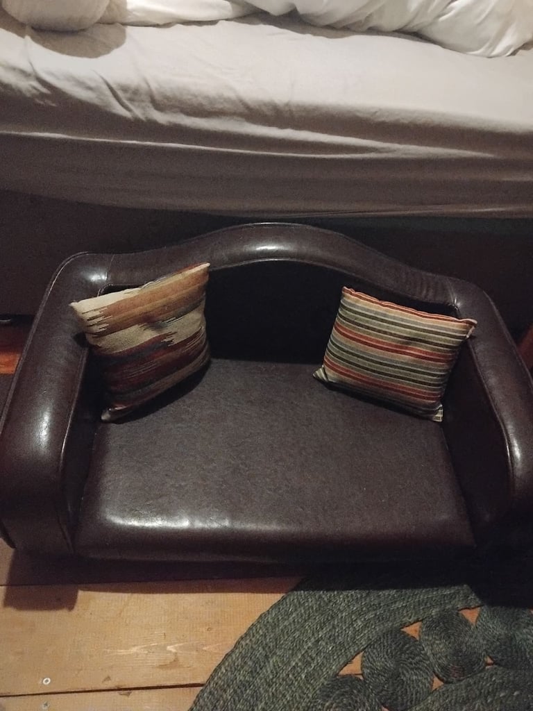 Dog/cat couch/bed