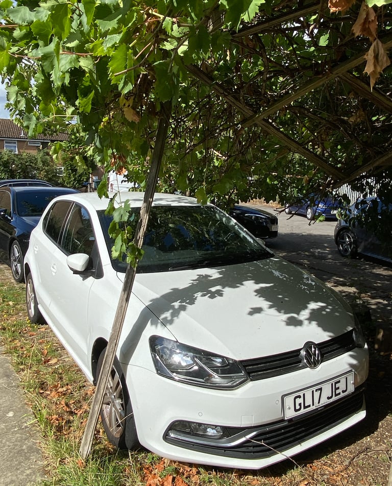 Volkswagen, POLO, Hatchback, 2017, Manual, 1197 (cc), 5 doors