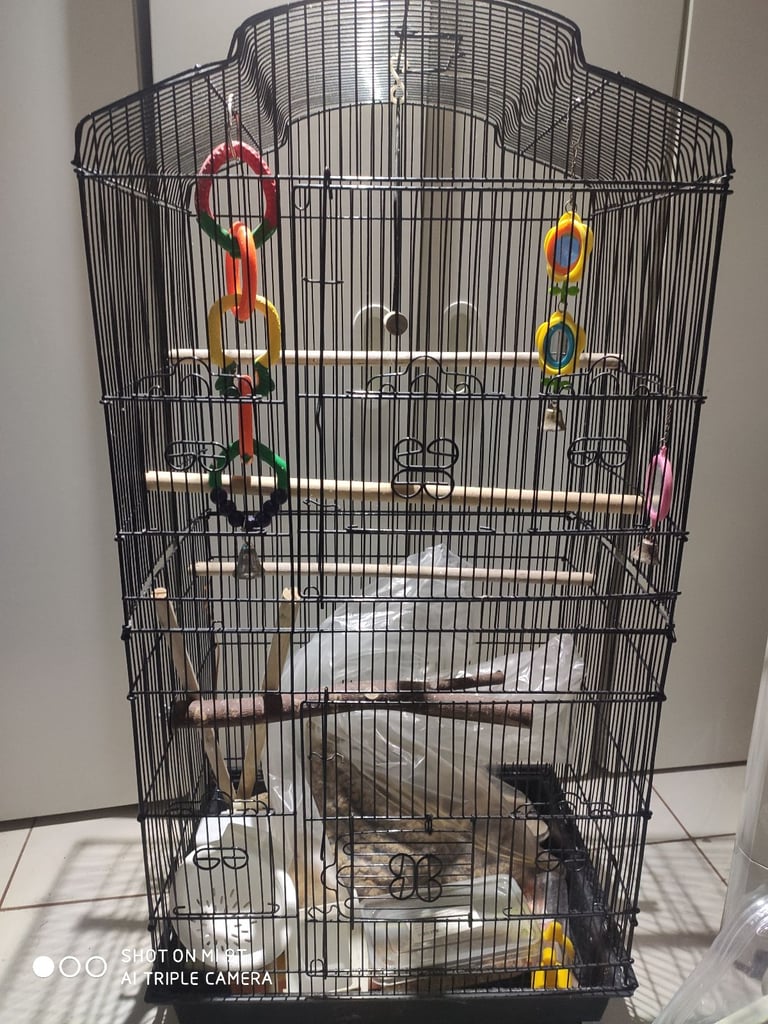 bird cage