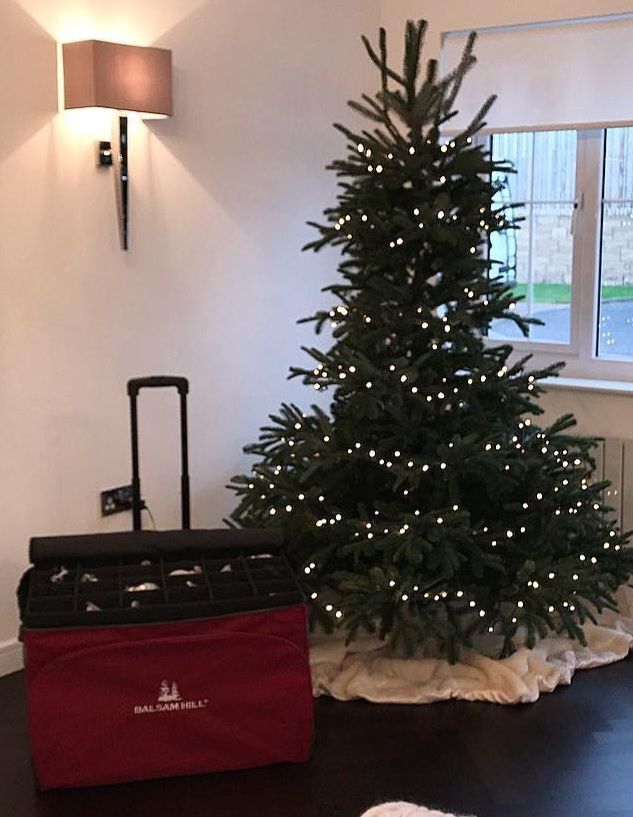 image for Balsam Hill Christmas tree