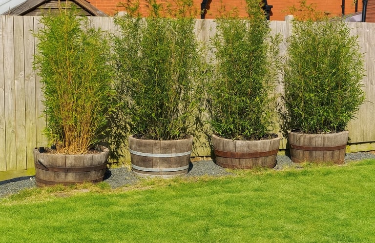 image for Half barrel planter
