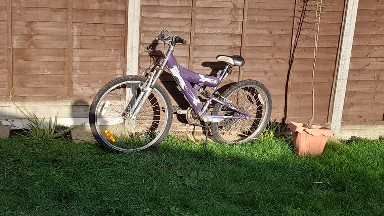 Great Value Raleigh Adult Bike £65 (Feltham)