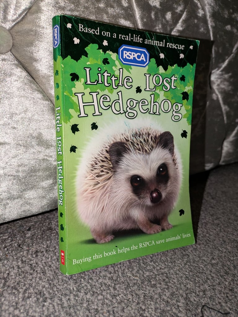 Hedgehogs for sale in London Gumtree