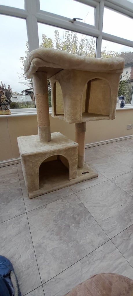 Unused cat tree 