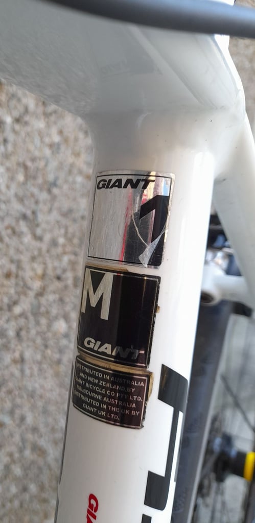 Giant Defy 1 Road Bike
