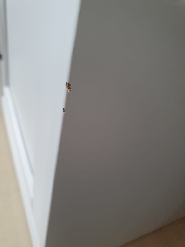 Two White Bedside Table Unit Cabinets 