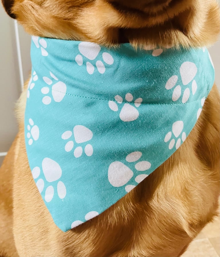Over 150 dog bandanas