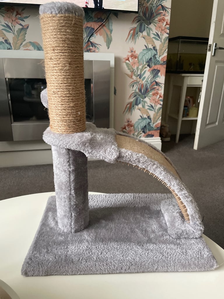Cat scratch post