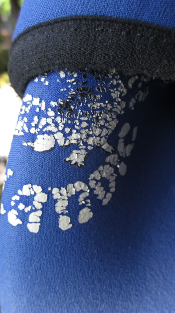 Free WETSUIT/s - excellent thickness/insulation